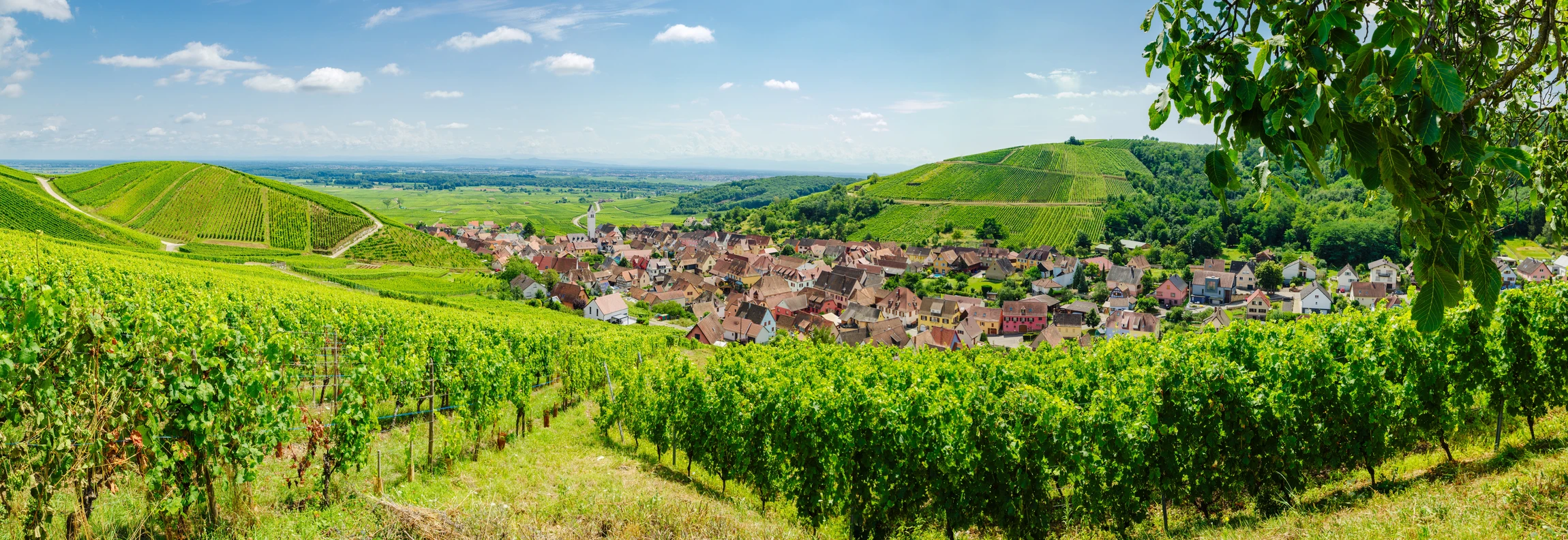 Scène d'intérieur avec homme d'affaires en costume déposant une pièce sur des piles de monnaie croissantes