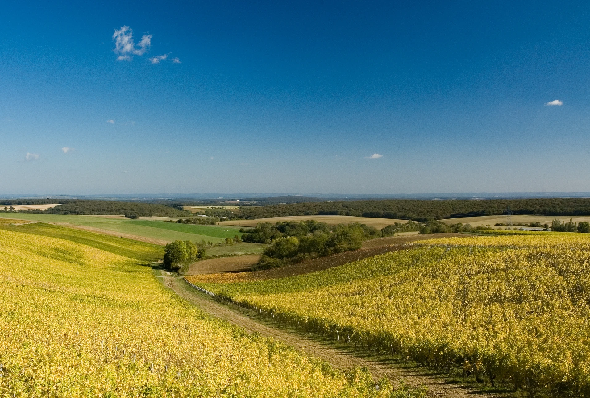 Terrain agricole en terre retournée avec panneau "LAND FOR SALE" en forme de maison, bordure jaune sur fond noir